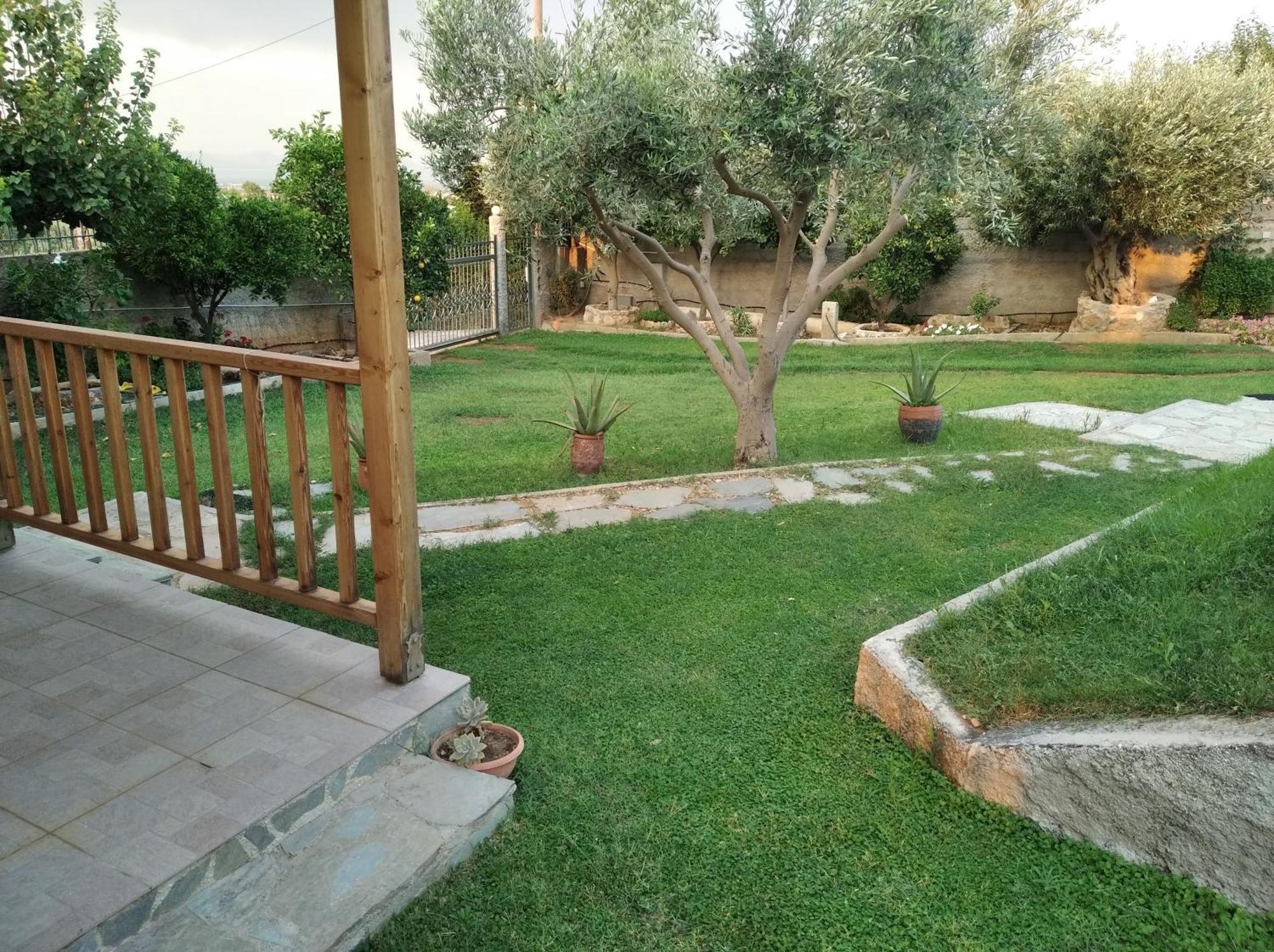 Vila Garden House-Free Transfer From Airport Artemida  Exteriér fotografie